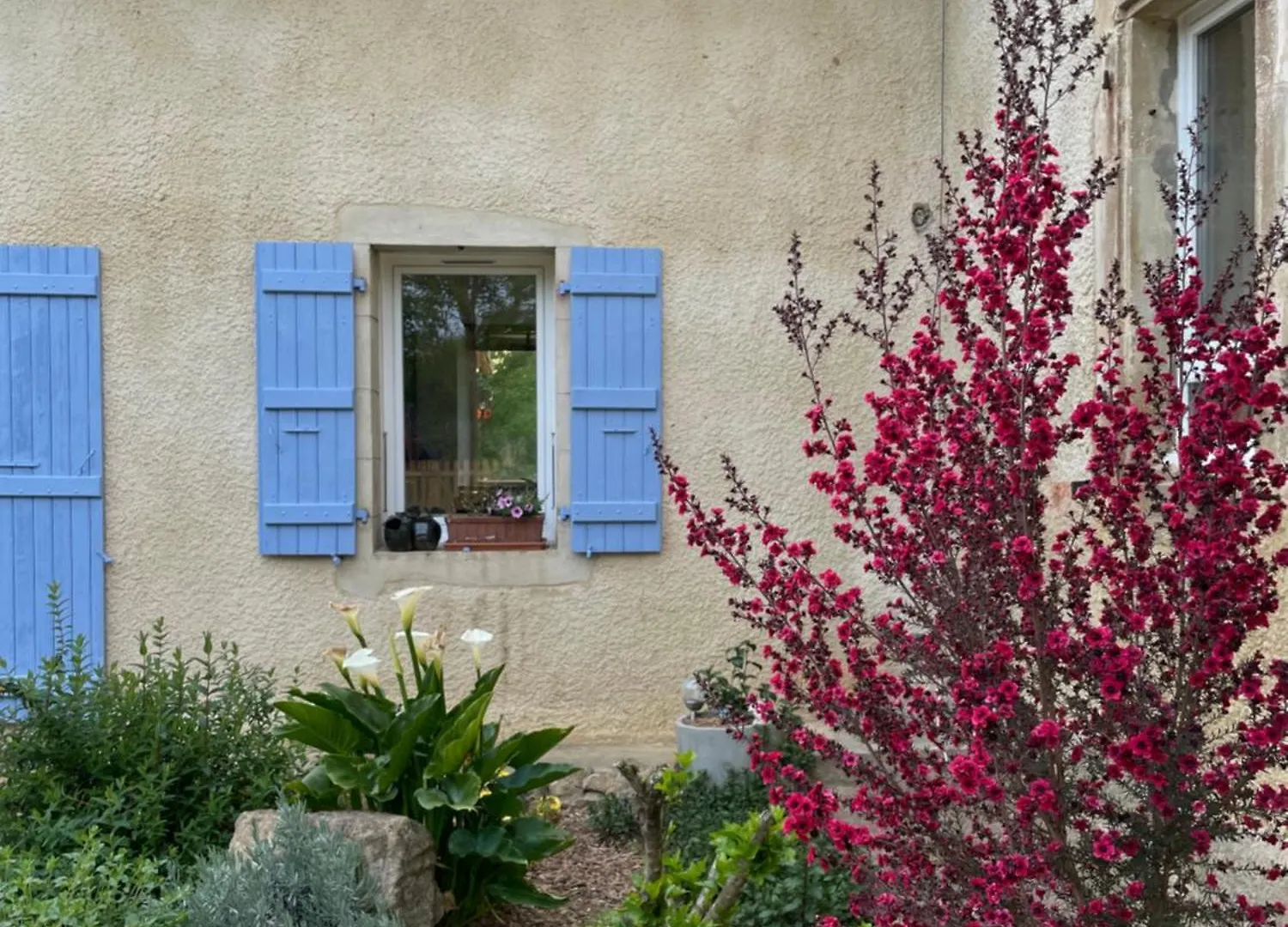 Nocleg ze śniadaniem Bed and Breakfast La Bastide Armous-et-Cau Francja